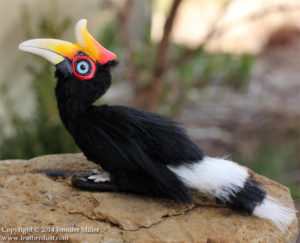 picture of Rhinoceros hornbill 