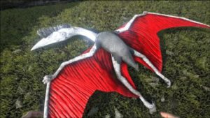 Quetzal Picture