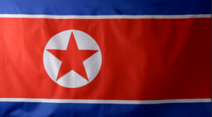 North Korea Armed Flag PIC