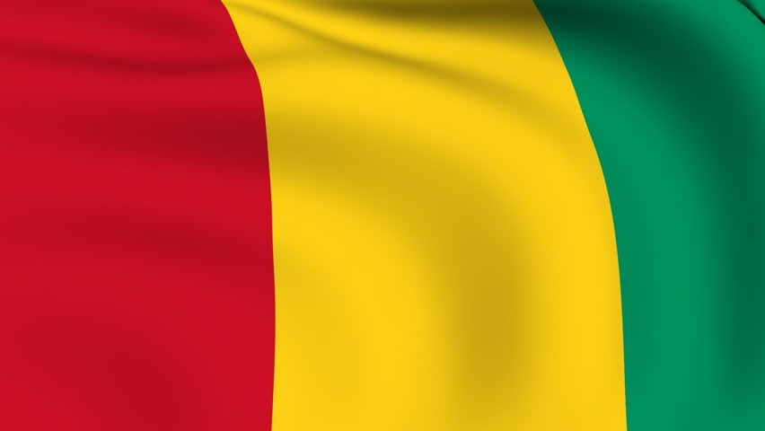 Guinea Flag Pic