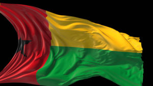 Guinea Flag Pics