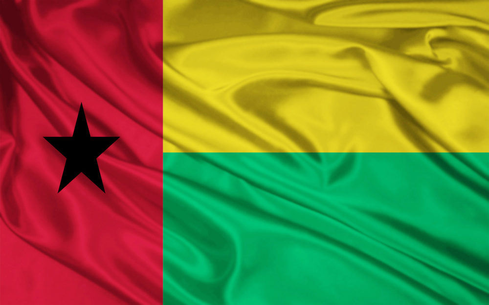 Guinea Flag Pictures