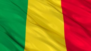 Guinea Flag Pictures