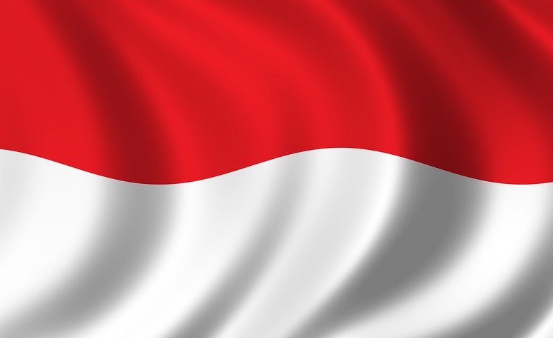 Indonesia Flag Pictures