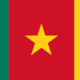 National Flag of Cameroon