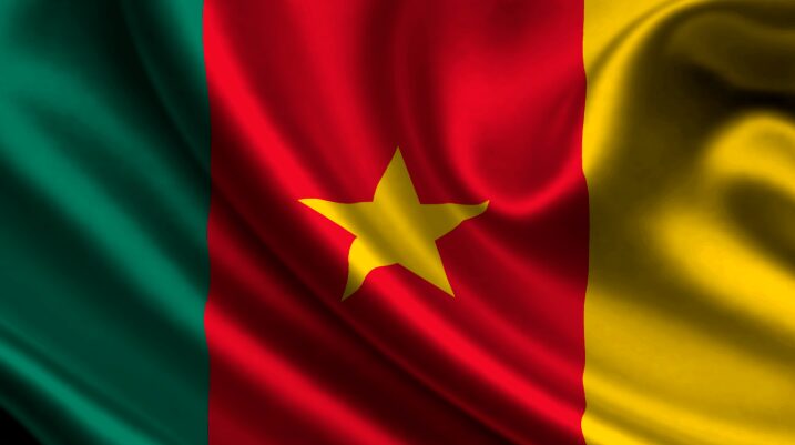 National Flag of Cameroon Pics