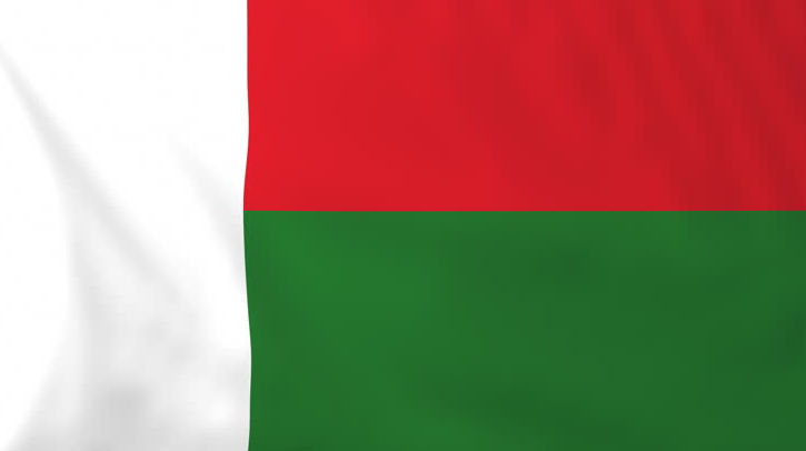 National Flag of Madagascar Pics