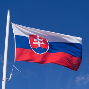 Slovakia Flag Picture