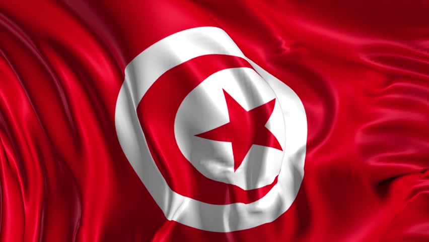 Tunisia Flag Pics