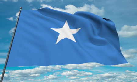 national flag of Somalia