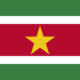 national flag of Suriname