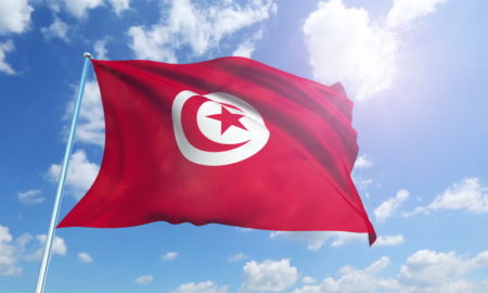 national flag of Tunisia