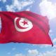 national flag of Tunisia