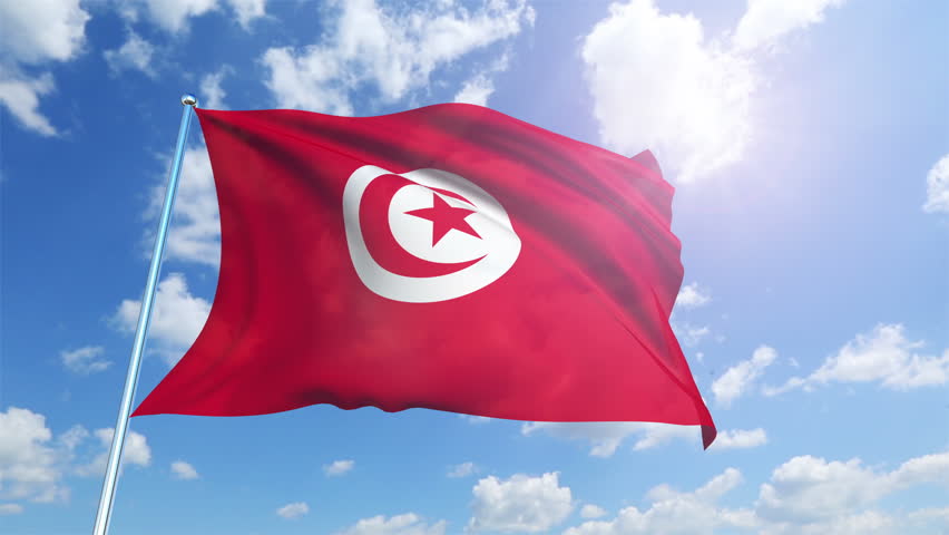 national flag of Tunisia