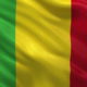 Mali Flag Pics