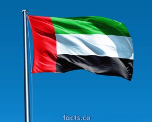 National Flag of UAE