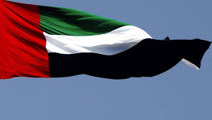 UAE Flag Picture