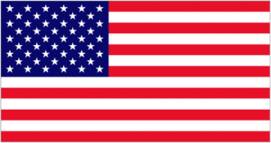 United States Flag Picture