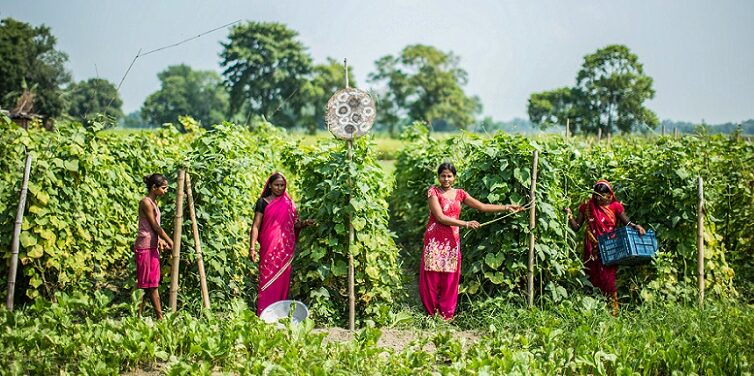 International Day of Rural Women October 15