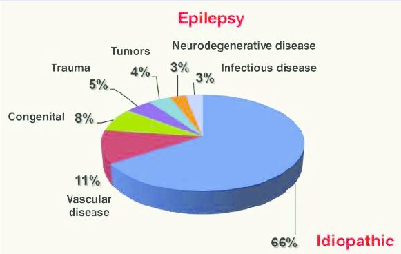 National Epilepsy Day November 17