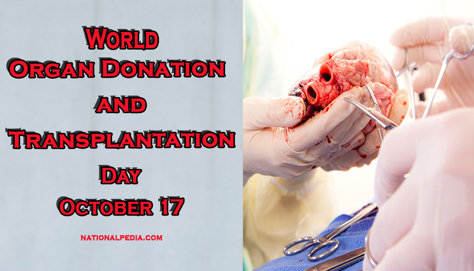 World Day for Organ Donation and Transplantation October 17