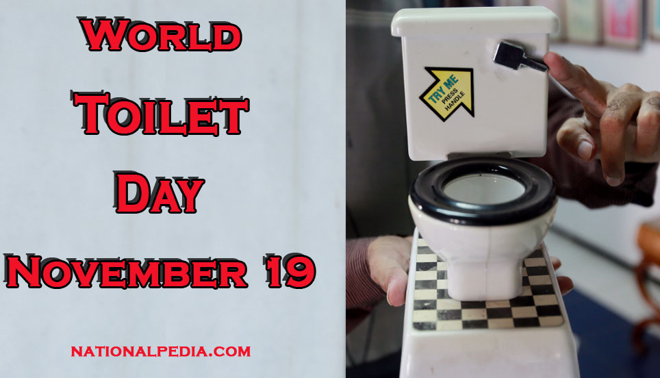 World Toilet Day November 19