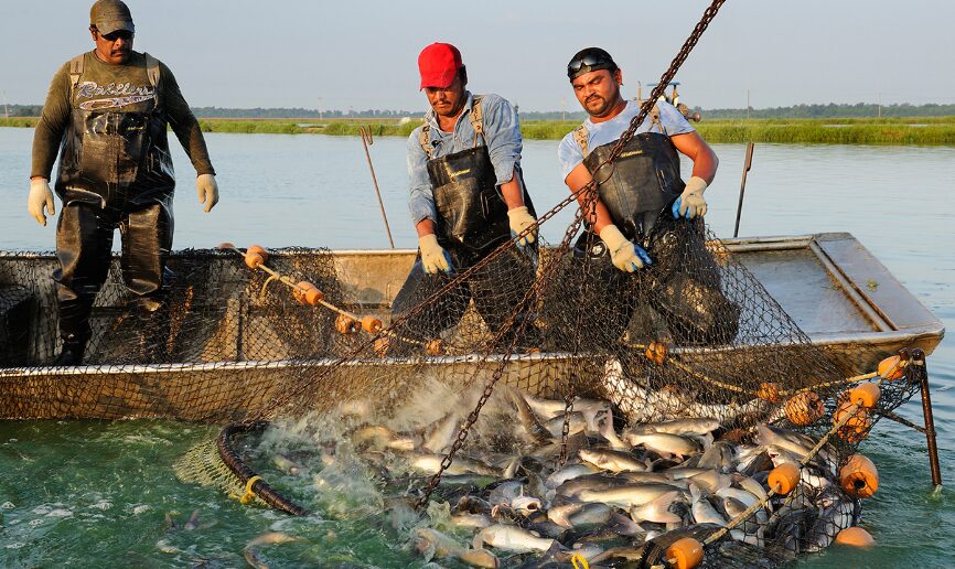 World Day of Artisanal Fishermen and Sea Workers November 21