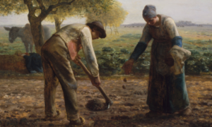 peasant meaning in english Archives - Vdio Magazine 2024
