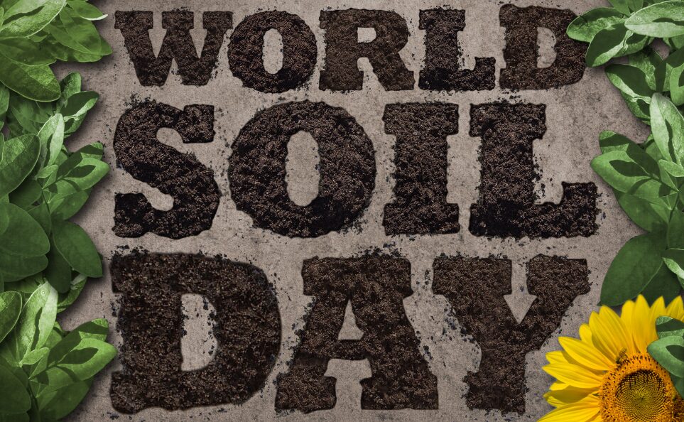World Soil Day December 5
