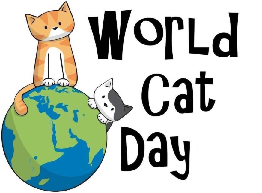 International Cat Day August 08