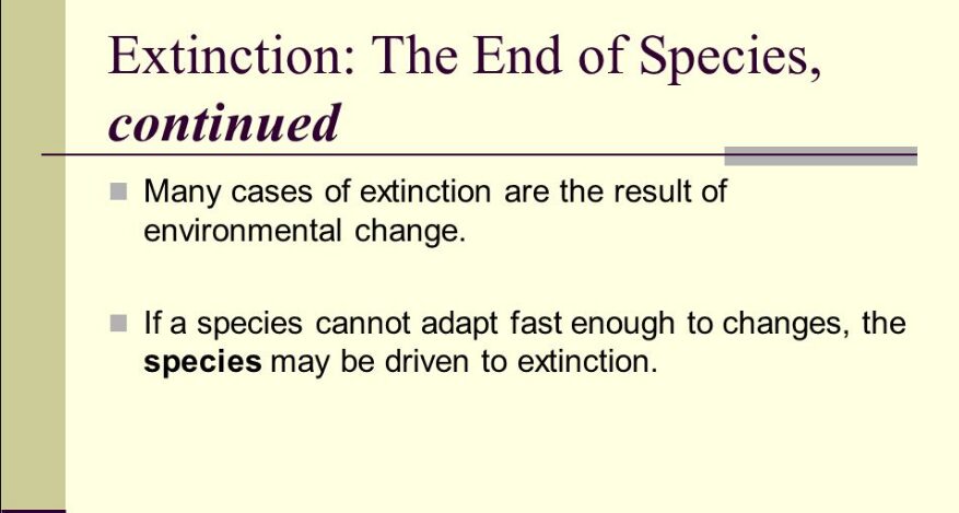 World Day for the End of Species August 27