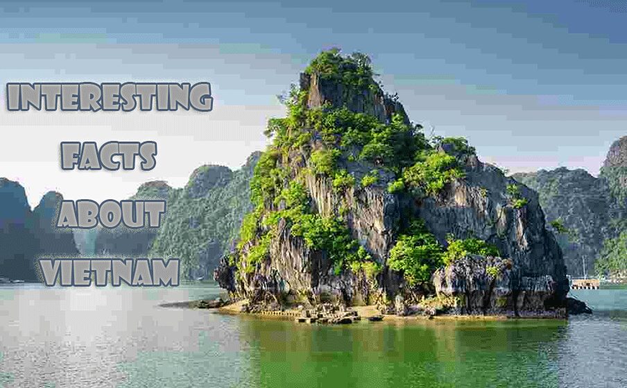 17 Interesting facts about Vietnam