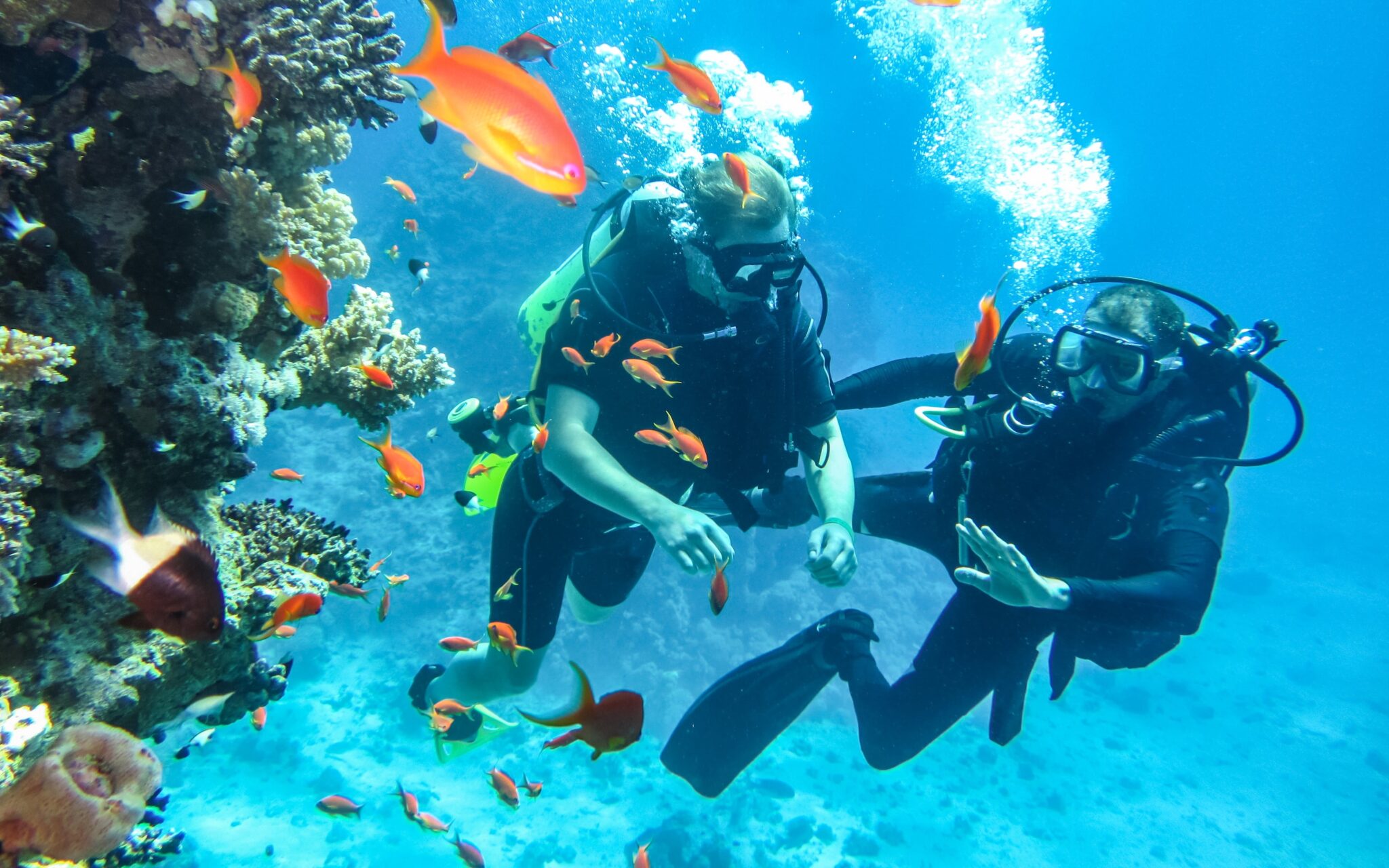 10 of the Best Places to Scuba Dive in the US