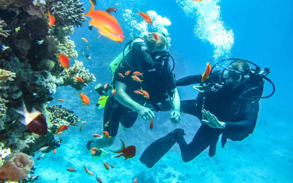 Best Places to Scuba Dive in the US: Are You Ready to Dive?
