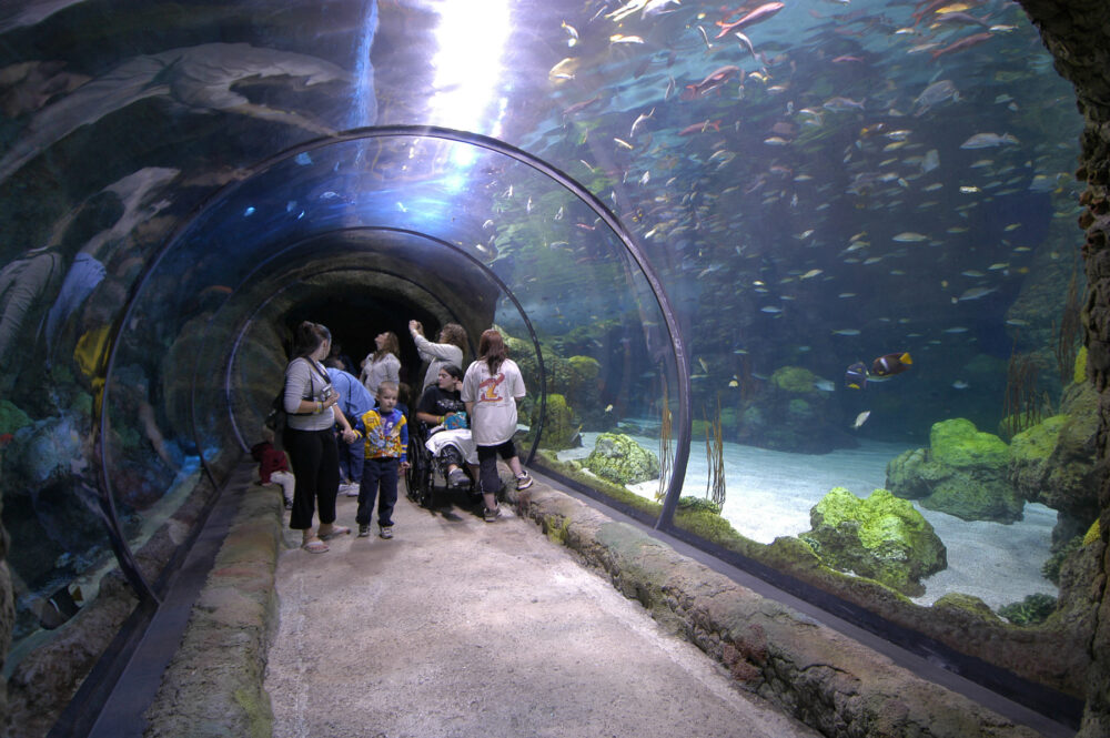 Denver, Colorado, Downtown Aquarium