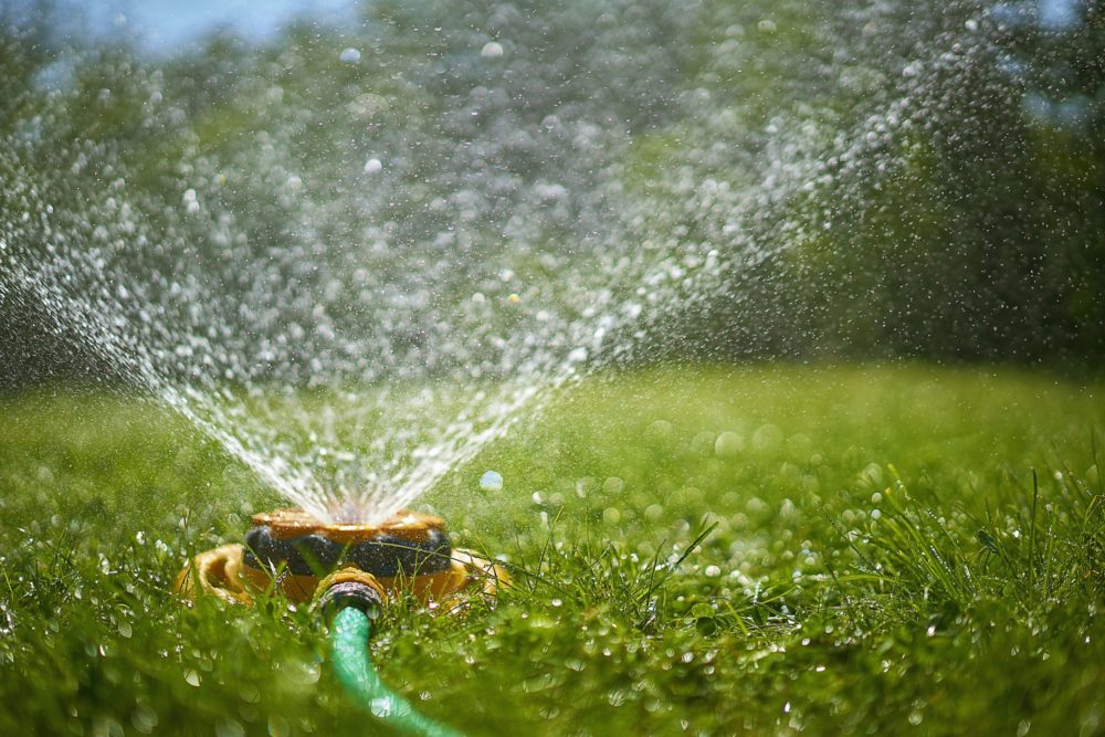 surface-level-view-of-backyard-sprinkler-spraying-royalty-free-image-685007509-1556917526
