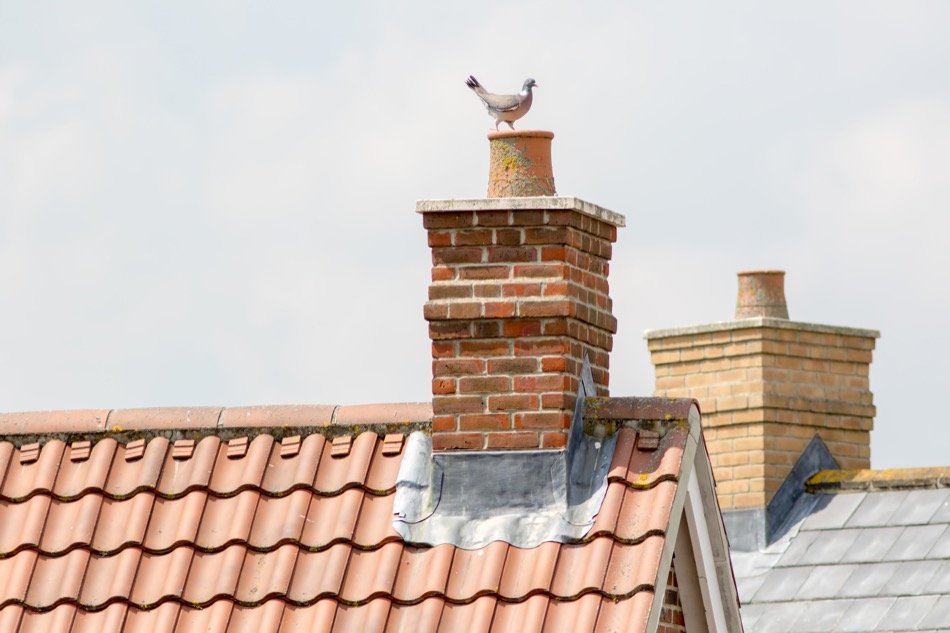 all-a-homeowner-needs-to-know-about-chimneys