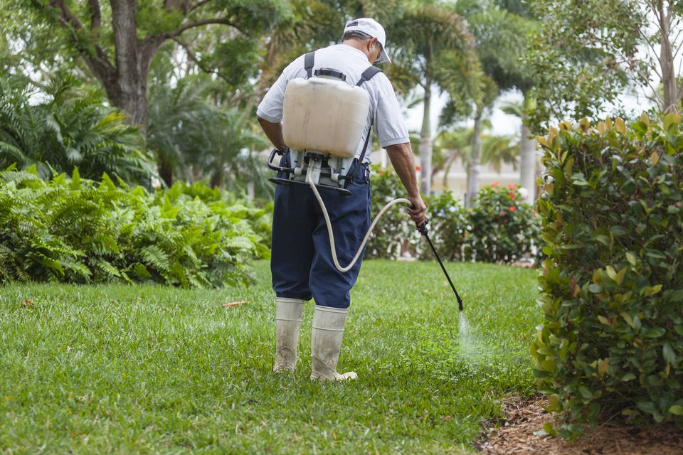 pest-control-technician-with-portable-spray-rig-using–spray-nozzle-and-hose-145091308-5a7f22ba1f4e1300375c7092
