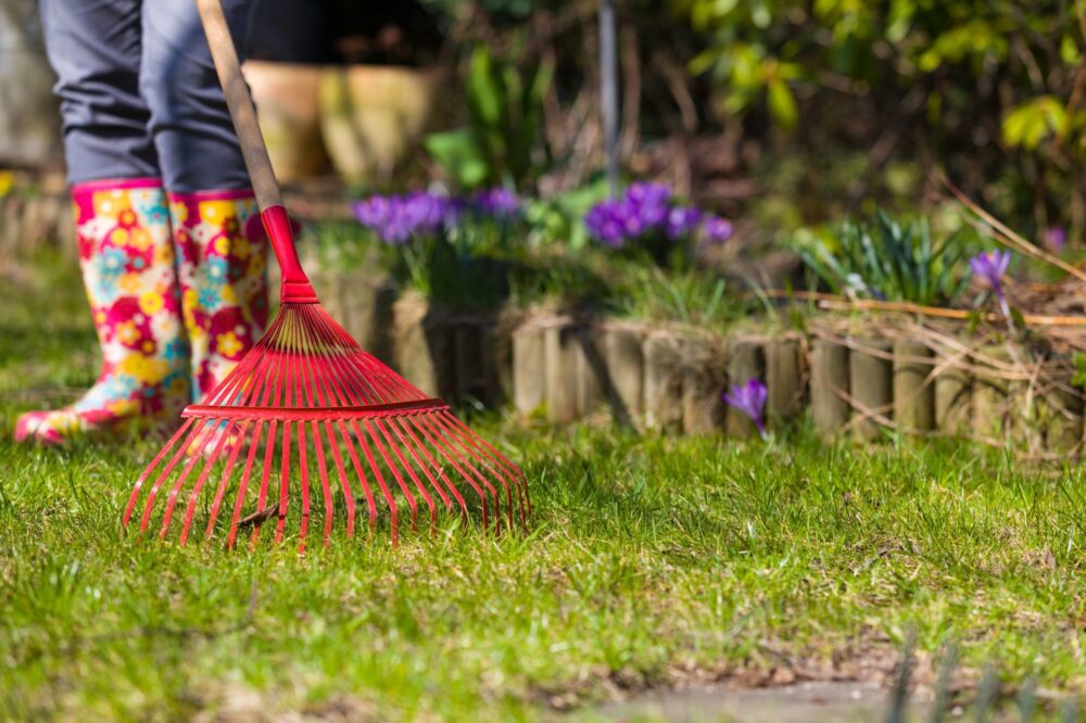 spring-lawn-care-tips-scaled