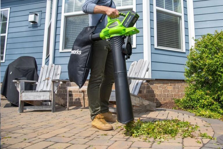 Cordless Leaf Vacuums What They Are and How to Choose Vdio Magazine 2024