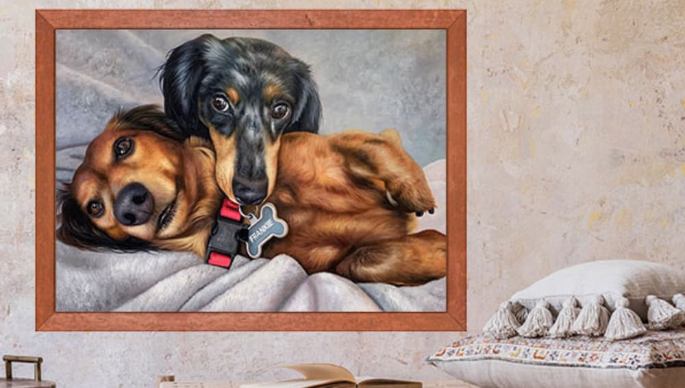 How to Get the Perfect Pet Portrait