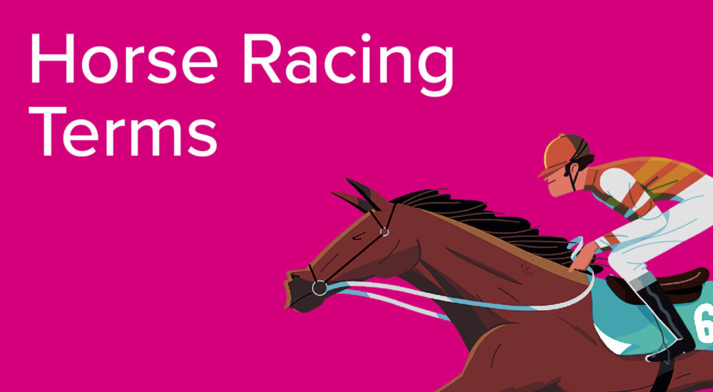 Key Terms and Terminology for Horse Racing Bets