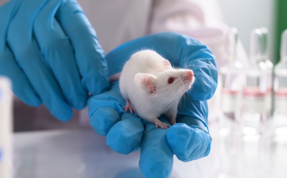 Since animal testing started, the biggest concern was the ethical one
