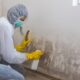 Becoming A Mold Inspector