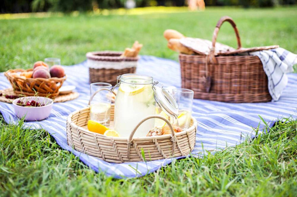 Picnic in The Park