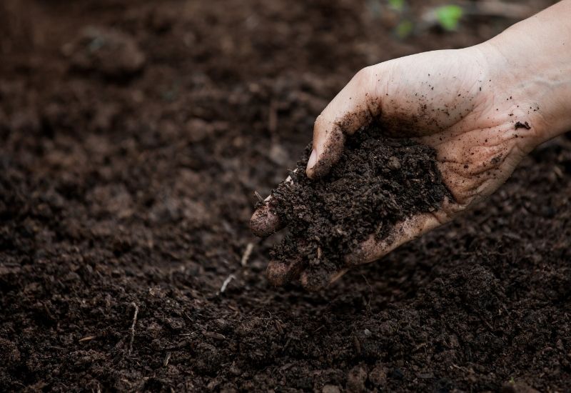Understanding Soil Composition