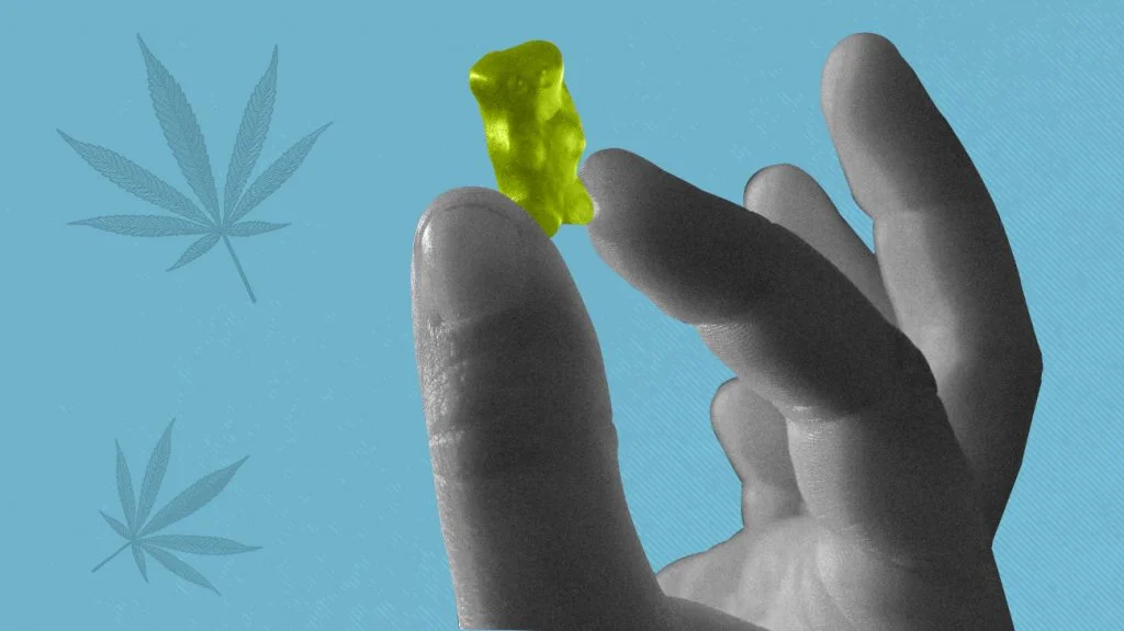 835340-Hemp-gummies-vs-CBD-gummies-What-to-look-for-and-how-to-buy-