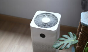 How to Choose an Air Purifier