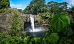 hilo waterfall