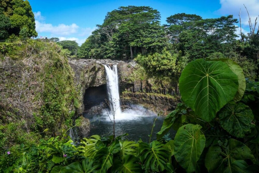 hilo waterfall